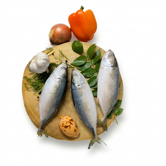 Frozen Indian Mackerel Whole 1KG