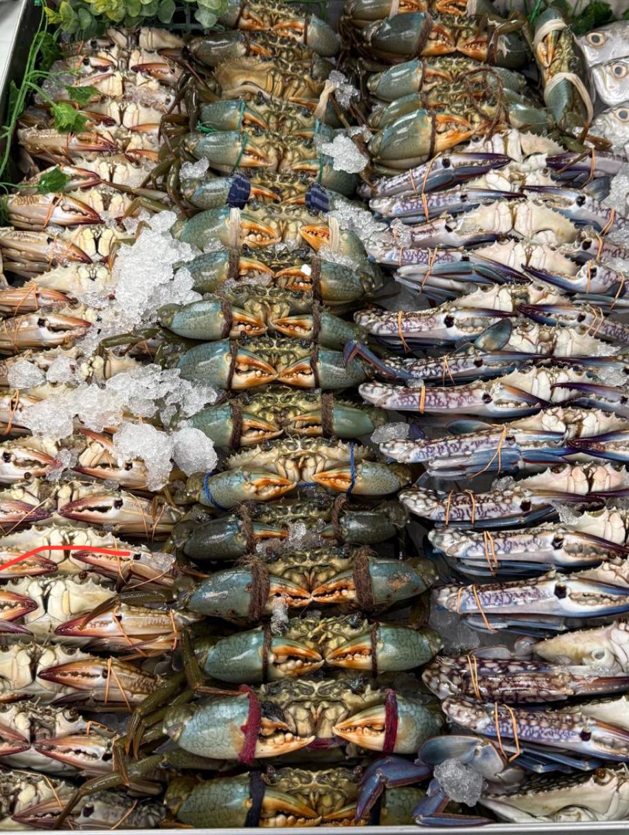 Fresh Crab Whole