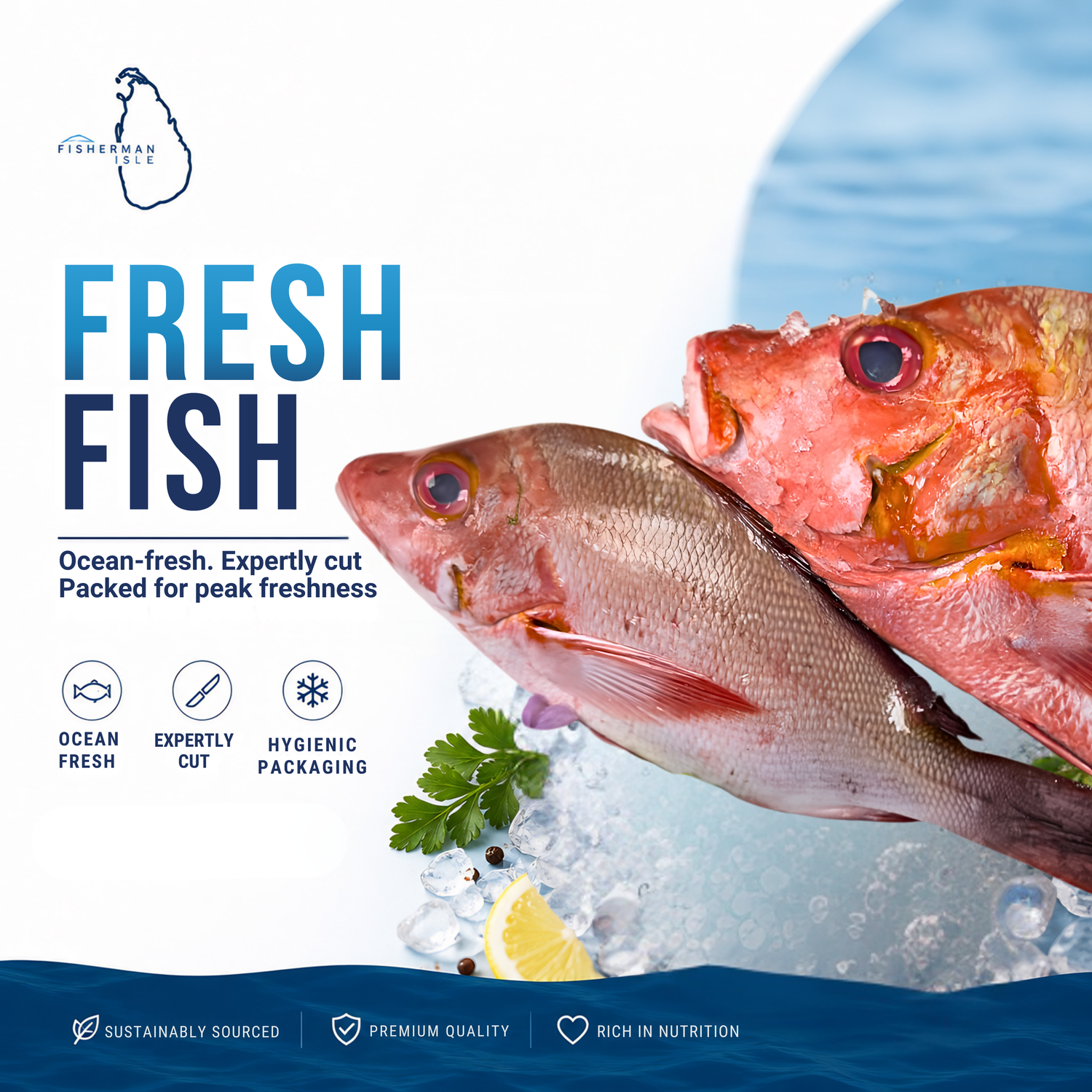 Fresh Fish Zone