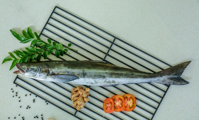Fresh Cobia
