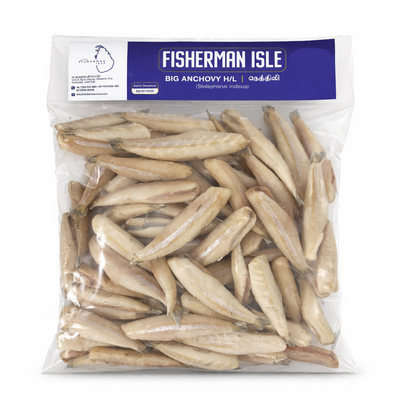 FROZEN ANCHOVY