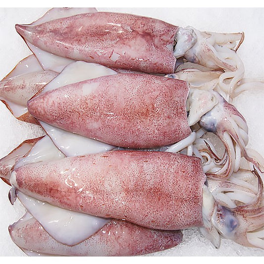 Premium Frozen Whole Squid