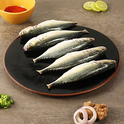 Fresh Indian Mackerel