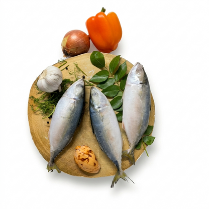 Frozen Indian Mackerel  Whole 1KG