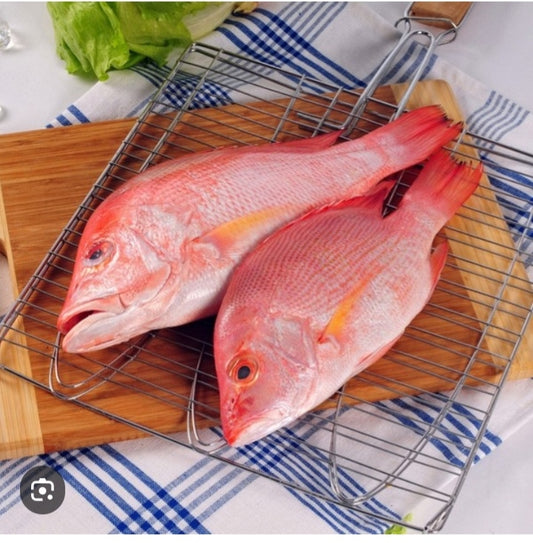 Fresh Red Snapper Whole