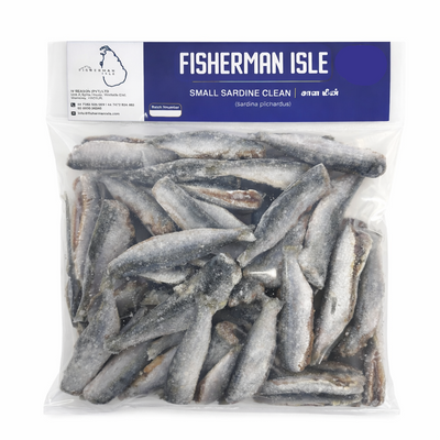 FROZEN SARDINE