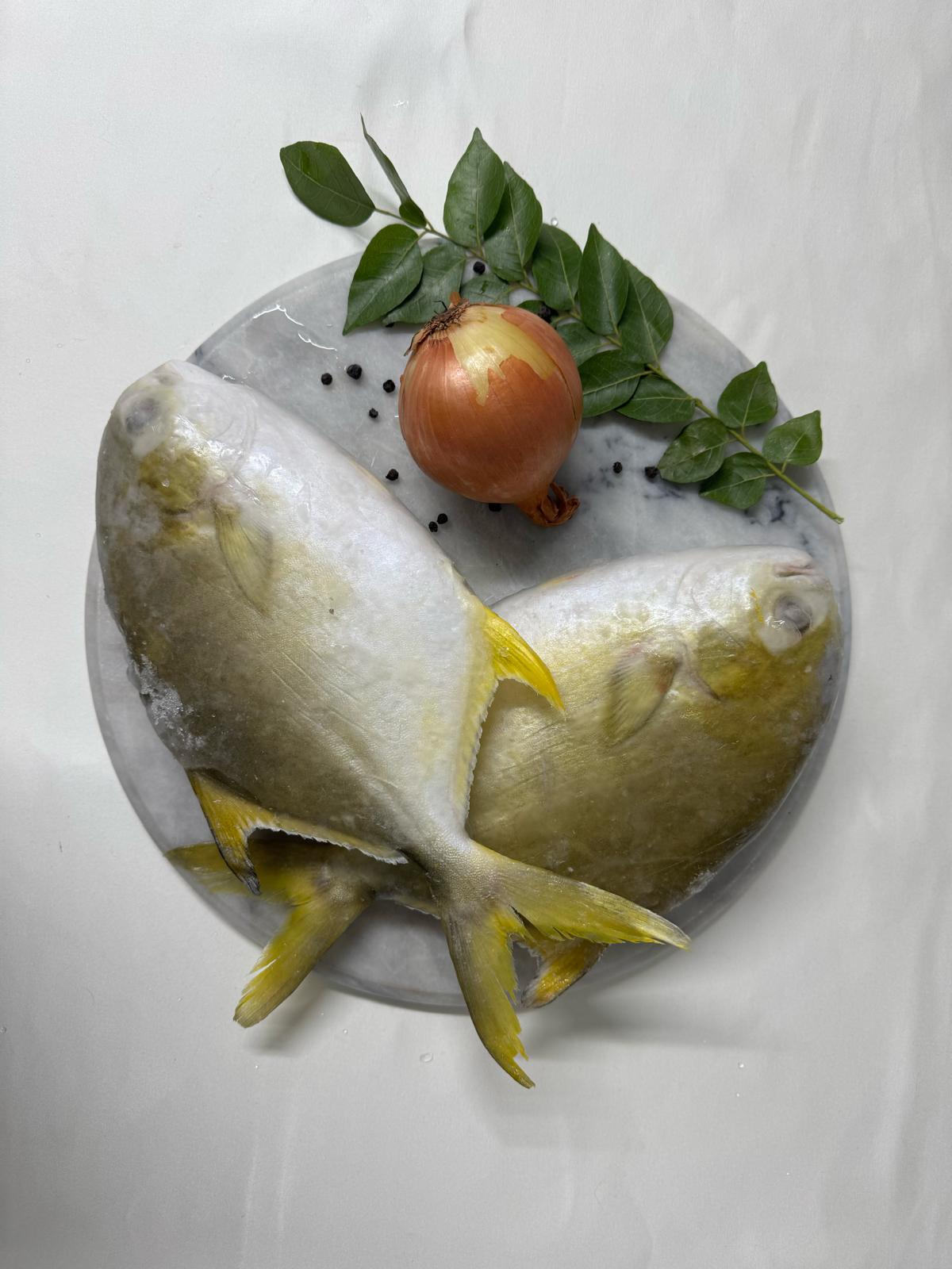 Premium Frozen Golden Pomfret (Whole)